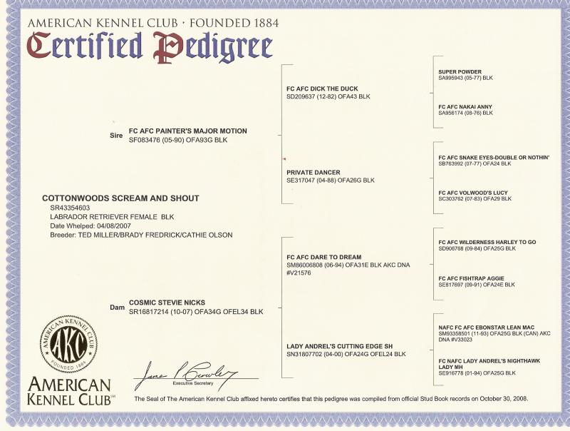 Rose's Pedigree